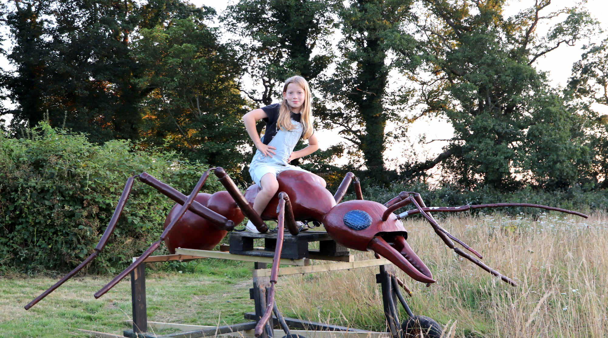 Is this the world's largest insect? Anthony the giant Bulldog ant is seen here at the entrance to the Museum, with a young volunteer (Miss Ocean) helper - who actually worked on the cart that Anthony sits on. Miss Ocean is a conservationist, keen on the country and rewilding, who hates ocean plastic. But loves humpback whales & dolphins.