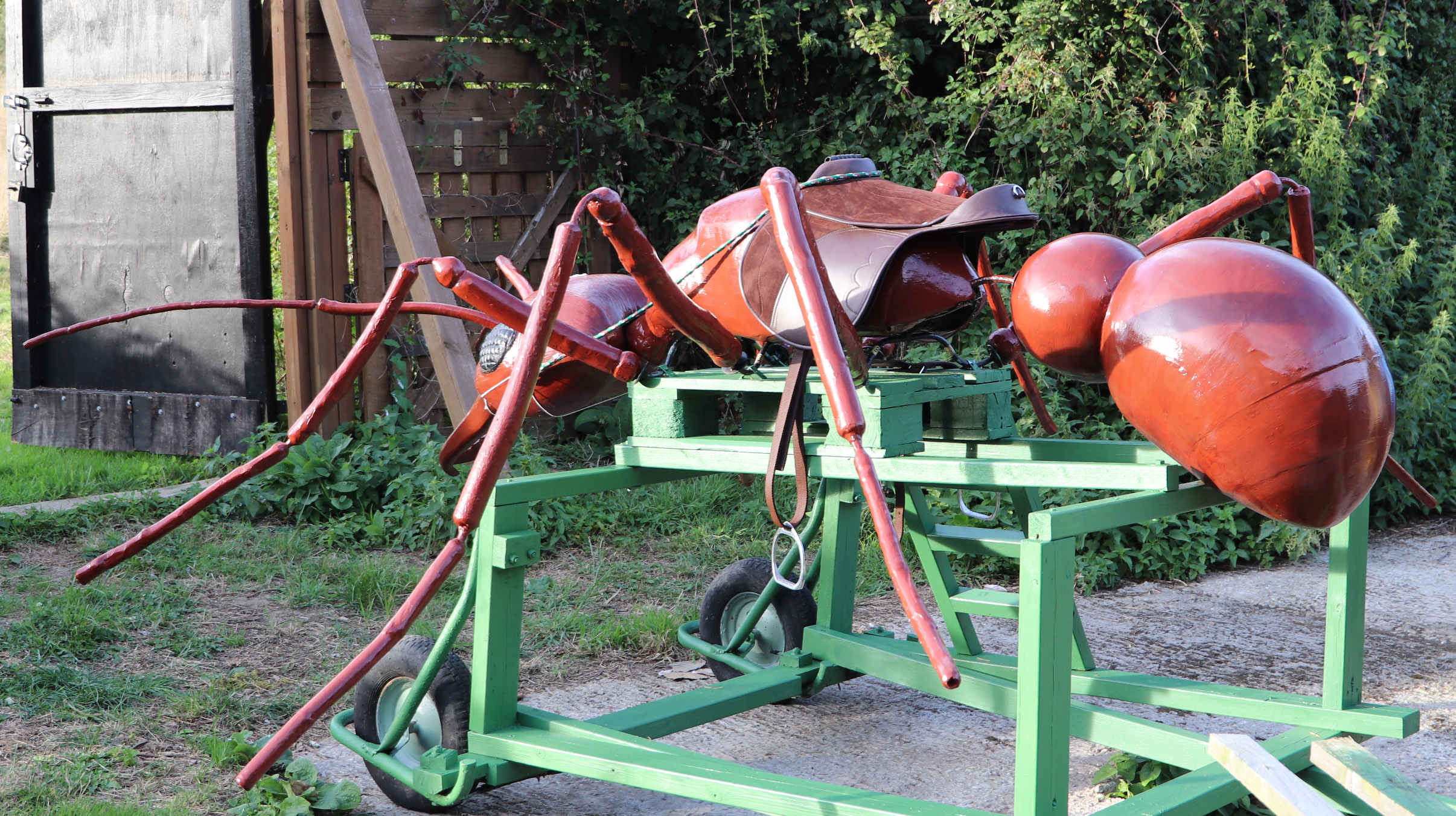 Visitors to the Museum wanting to ride Anthony, do so at their own risk and will need to sign a disclaimer. In the Antman film 2015, Paul Rudd does not use saddles on the ants he rides in CGI. Without doubt, a properly fitted saddle makes for a more comfortable ride. At one point in history, stirrups were considered to be a military secret. Native American Indians did not use saddles when riding, before European influences. They used bridles and reins, and mostly rode bareback.